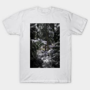 snowy Oregon forest 5 T-Shirt